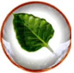Bodhi Linux Logo